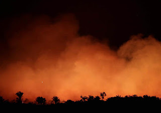 Brazil sends army to tackle Amazon fires